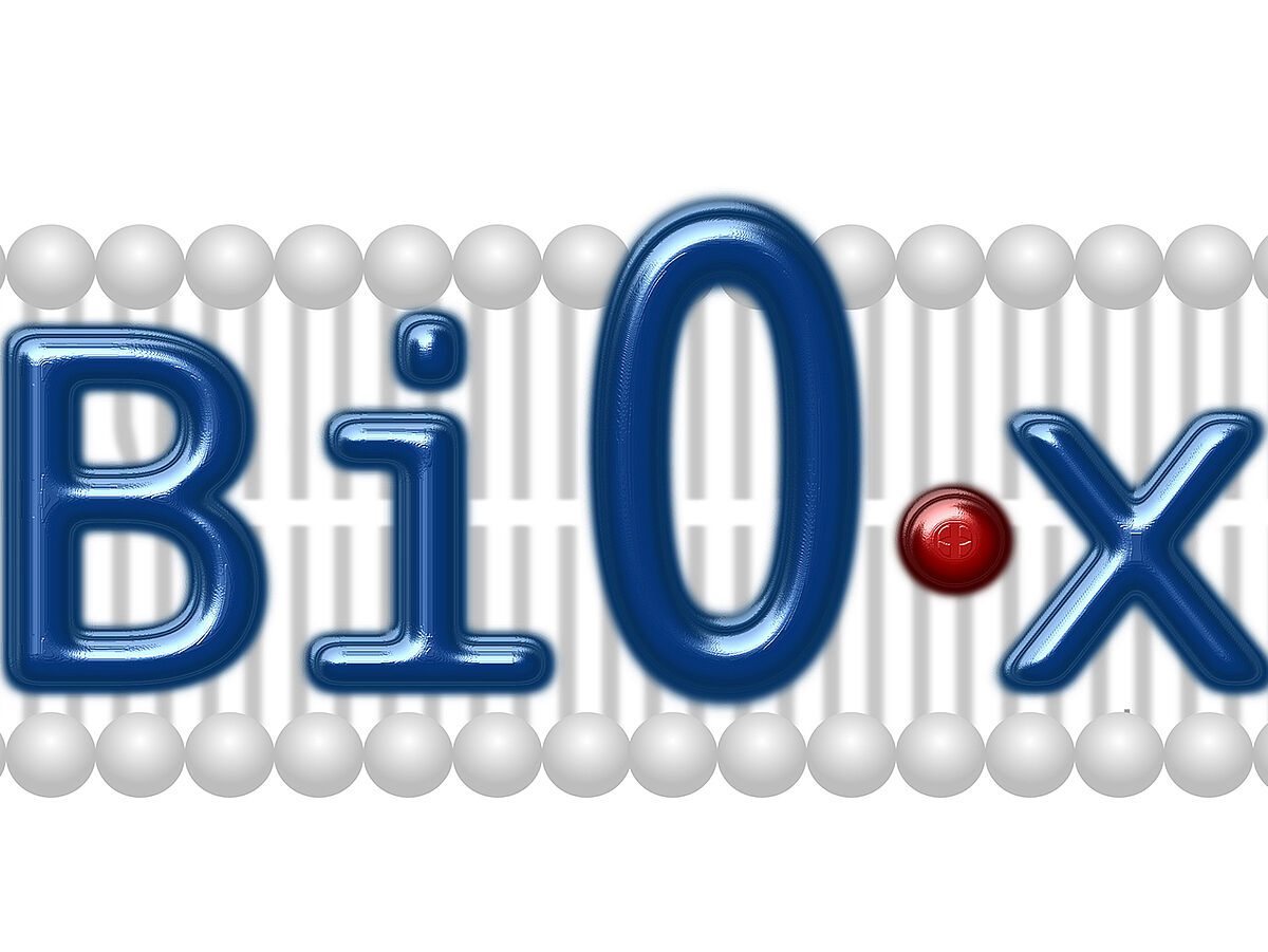 BiOx: Biochemical, Biophysical, and Biomedical Effects of Reactive ...